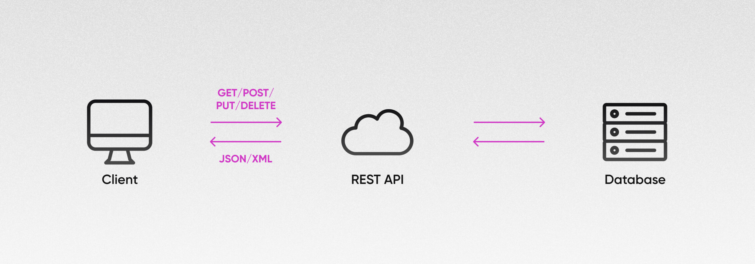 What is an API Endpoint? A Guide for Developers