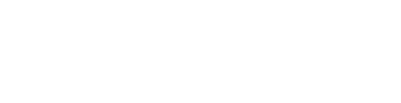 fabric logo